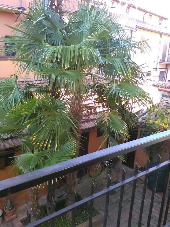 La Culla Lägenhet Imola Exteriör bild